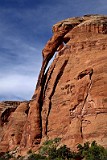 USA Bullwhip arch.jpg
